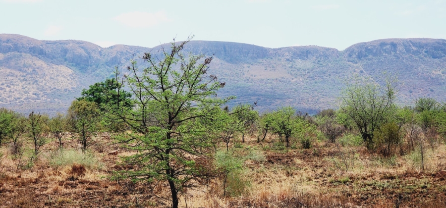  Bedroom Property for Sale in Rietfontein A H North West
